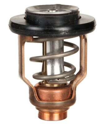 Yamaha - Termostat pre F(L)115B