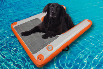 DOG RAMP Kúpací rebrík pre psov MINI s nosnosťou 13 kg