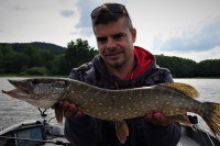 MARINE 450 BASS hliníkový čln - 4,45m, 234kg