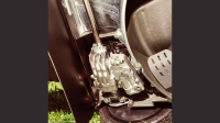 HONDA KOMFORT HRD 536K QX - benzínová kosačka 53cm, hliníkové šasi, profi motor GXV160, spojka noža, pojazd valcom