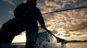 YAMAHA M12 elektromotor 30 lbs - 5 rýchlosti vpred, 3 rýchlosti vzad – Obrázok 3