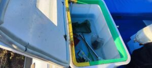 Motorový čln ANGELO MOLINARI 410 s motorom YAMAHA F25 + príves – Obrázok 11