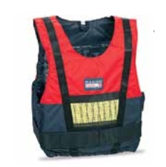 Pl__vacia_vesta__56d8419e28721