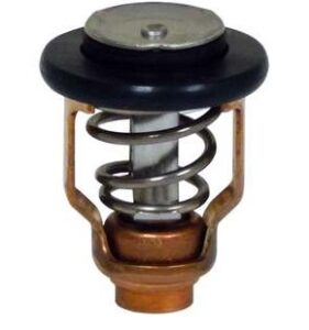 Yamaha - Termostat pre F100B/F(L)115A...