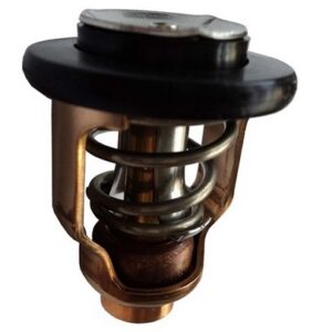 Yamaha - Termostat pre F100D