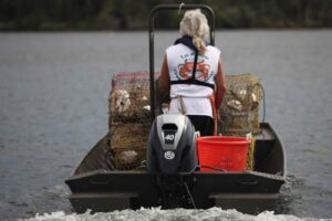 Tohatsu MFS 40A ETL závesný lodný motor – Obrázok 5