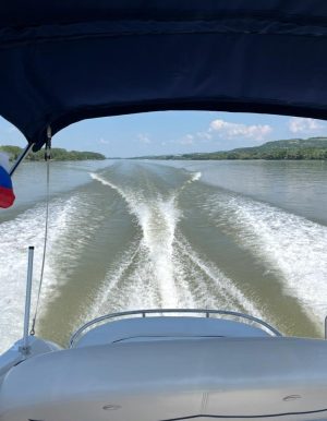 CROWNLINE 250 CR (2009) – Kajutová loď s bohatou výbavou a dieselovým motorom YANMAR 6LPA315 – Obrázok 13